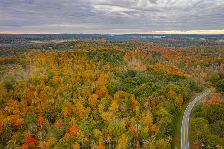 Property Photo:  1315 Sackett Lake Rd  NY 12777 