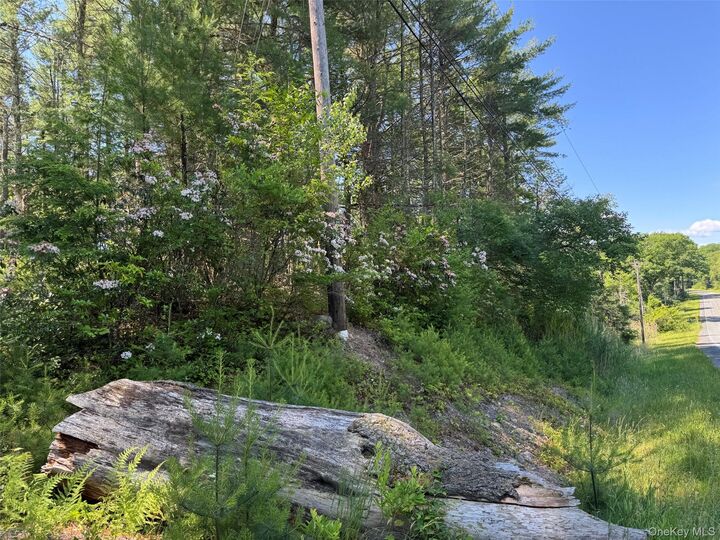 Property Photo:  1315 Sackett Lake Rd  NY 12777 