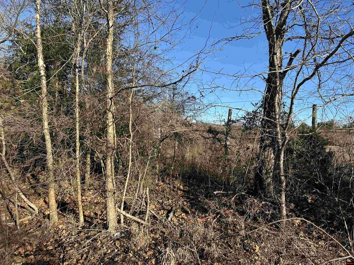 Property Photo: 1739 Cr 54 AR 72653