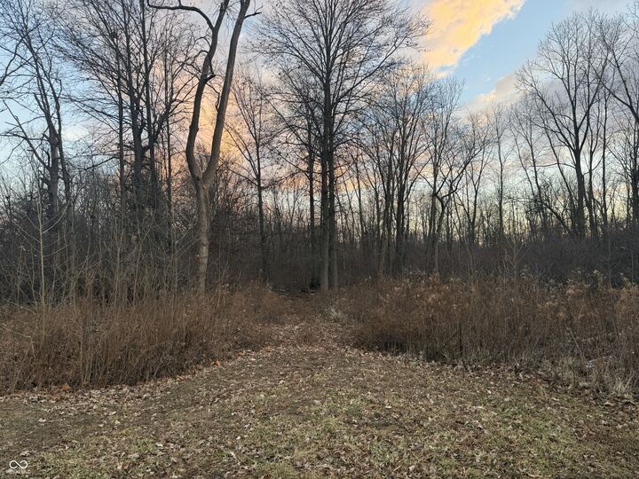 Property Photo:  1141 S Malott Street  IN 46069 