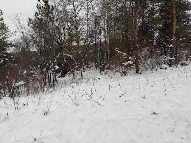 Property Photo: Apache Pass MI 49677