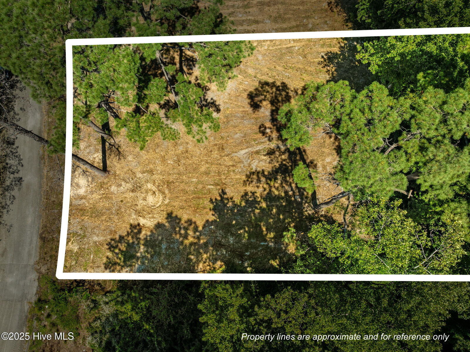 Property Photo: 124 Jupiter Trail NC 28546