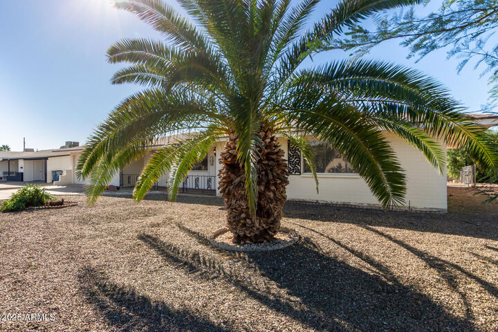 Property Photo:  708 N 56th Street  AZ 85205 