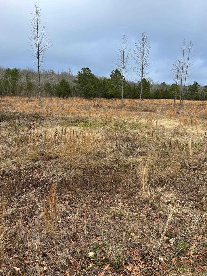 Property Photo:  3 Rivers Edge Road  AR 72173 