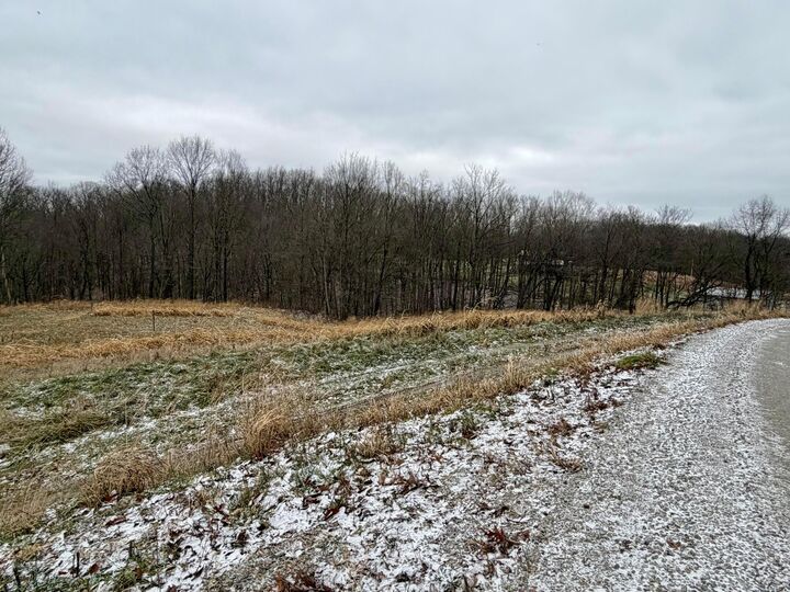 Property Photo: 0 Sealover Hollow Road OH 43771
