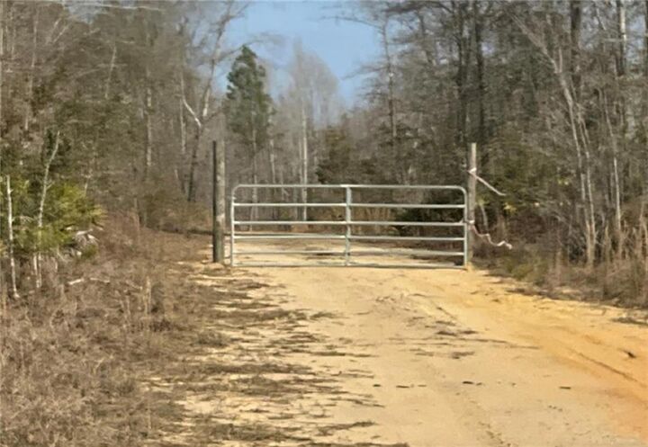 Property Photo:  0 Luther Surrency Road Road  GA 31513 