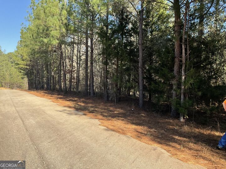 Property Photo:  0 Erskine Drive  GA 31064 