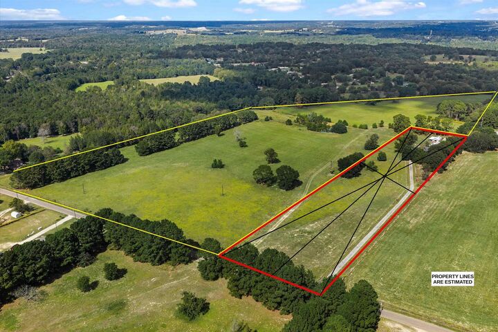 Property Photo: Tbd W Cr 413 40.408 Acres TX 75654