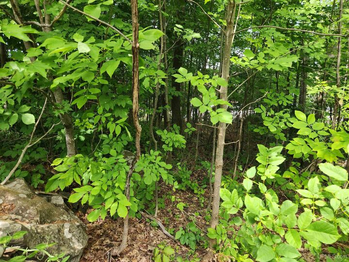 Property Photo:  Tbd 16 Calverley Avenue  MI 49931 