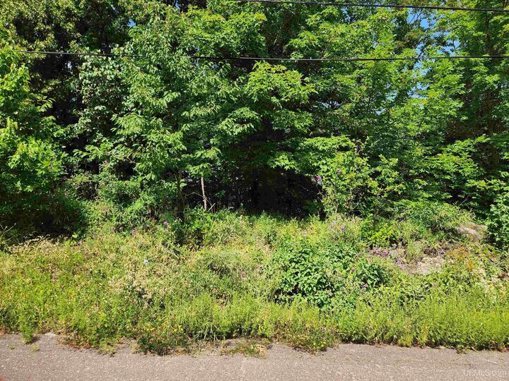 Property Photo: Tbd 17 Calverley Avenue MI 49931
