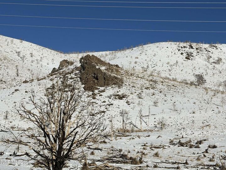 Property Photo:  Tbd Hwy 395  NV 89410 