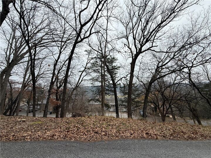 Property Photo: Tbd Beaver Drive AR 72631