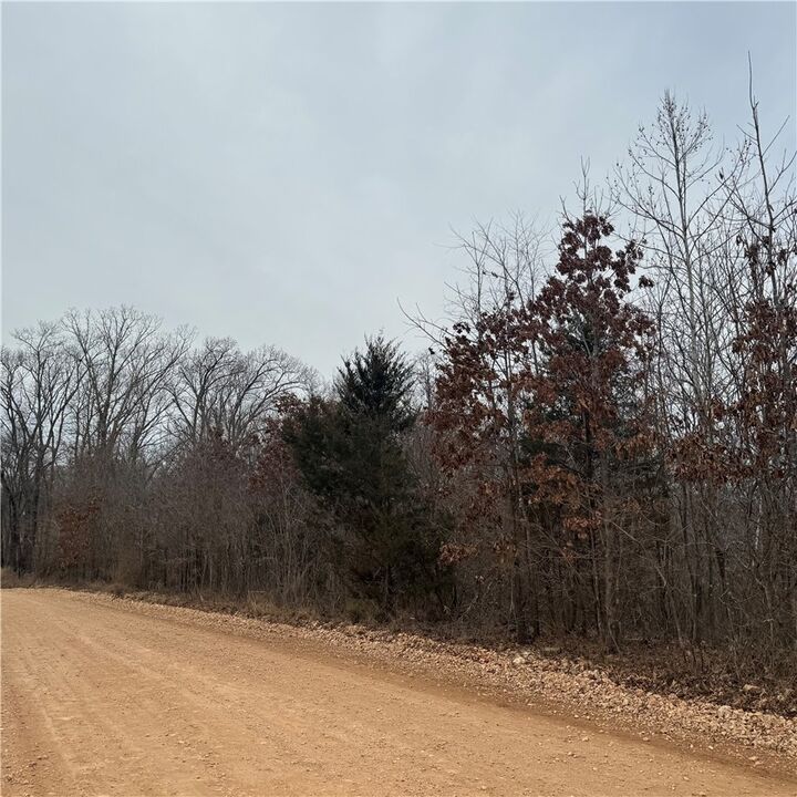 Property Photo: 13477 Kistler Road AR 72756