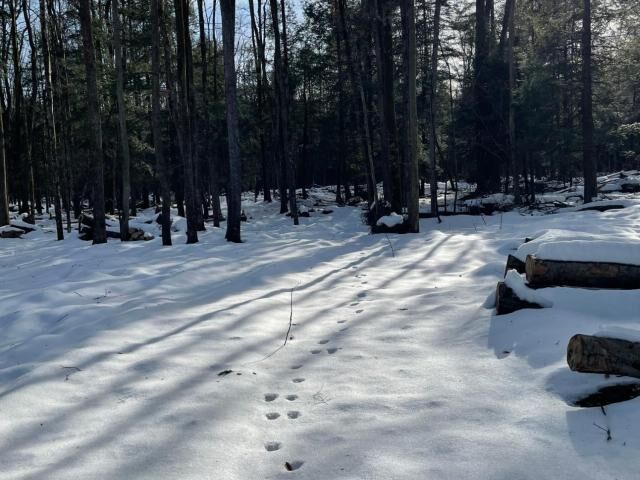 Property Photo:  0 Buells Corners Road  PA 16434 