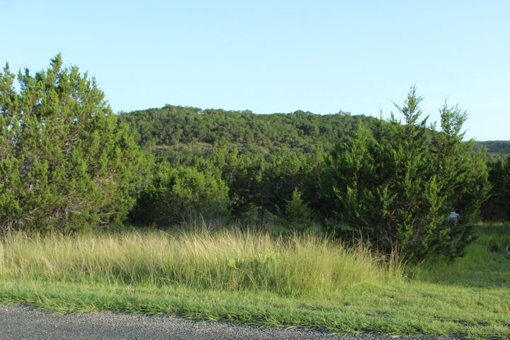 Property Photo:  218 Spring Hollow Drive Drive  TX 78605 