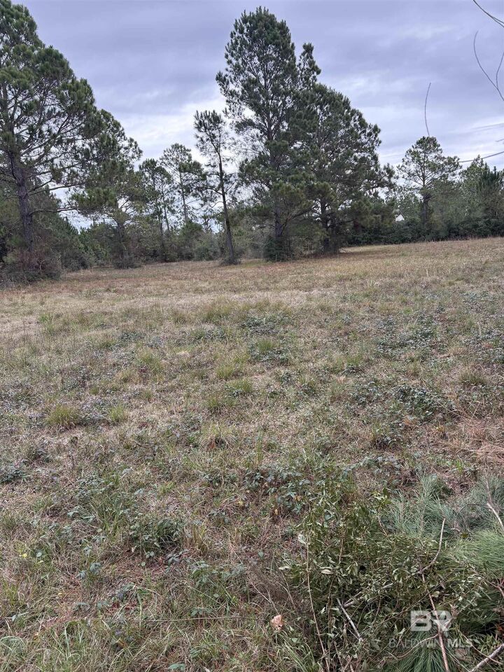 Property Photo:  31849 Randolf Avenue  AL 36549-5707 