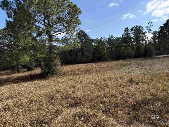 Property Photo: 31849 Randolf Avenue AL 36549-5707