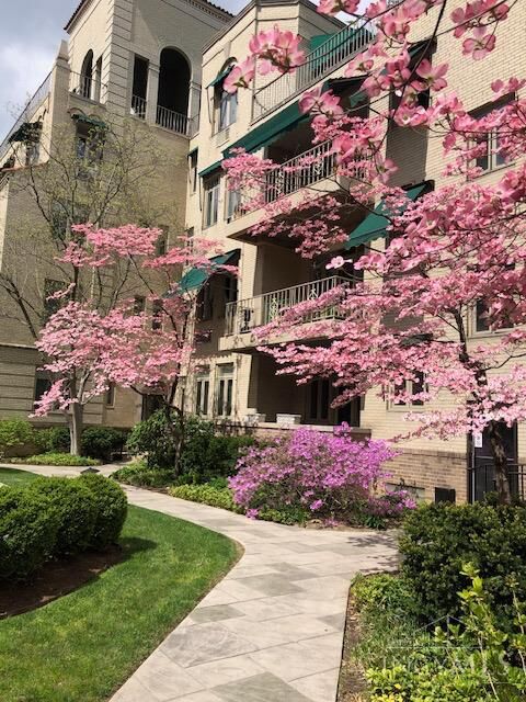 Property Photo:  2380 Madison Road  OH 45208 