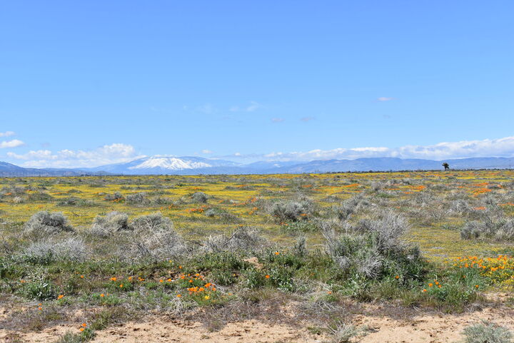 Property Photo: Cor Avenue C12 &Amp 141st St West CA 93536