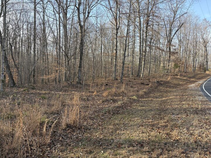 Property Photo: 0 Harbour Park Lane TN 38583