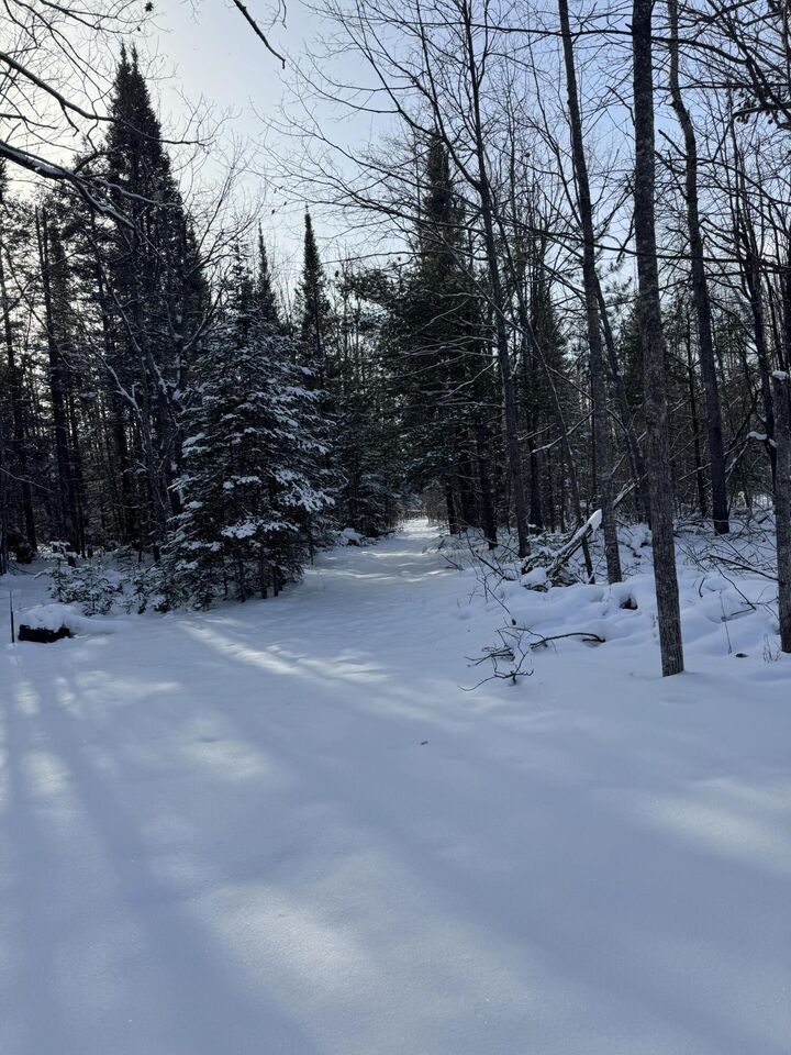 Property Photo:  10741 Big Cut Highway  MI 49759 