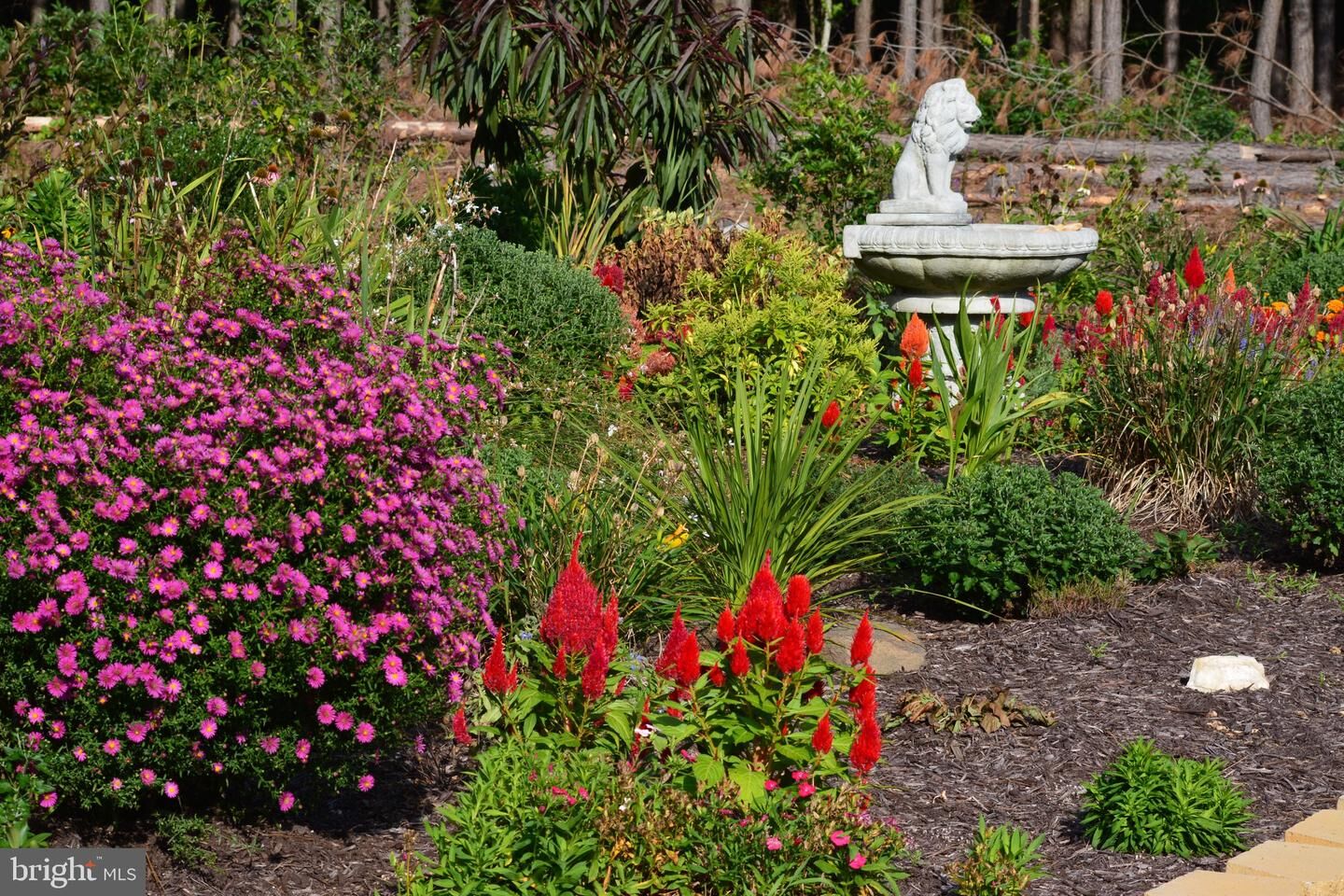 Property Photo:  10041 Tarrington Way  VA 22551 