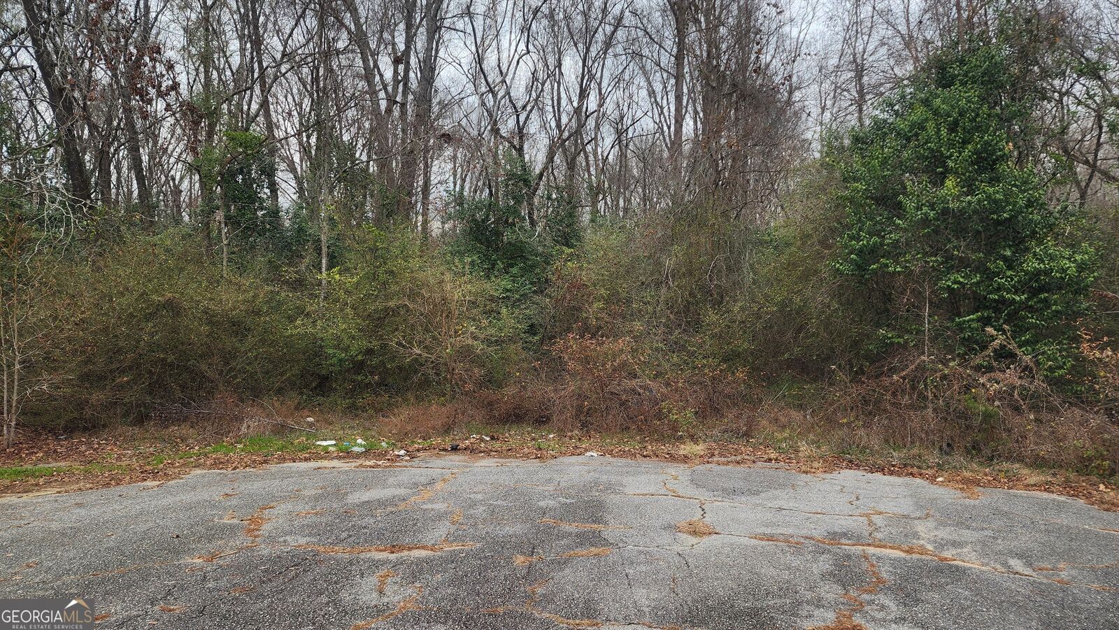 Property Photo:  0 Kings Court N  GA 31211 