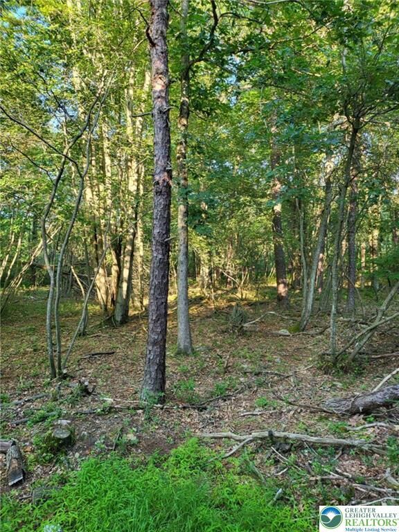 Property Photo:  5120 Pine Tr Lane 808,809  PA 18346 