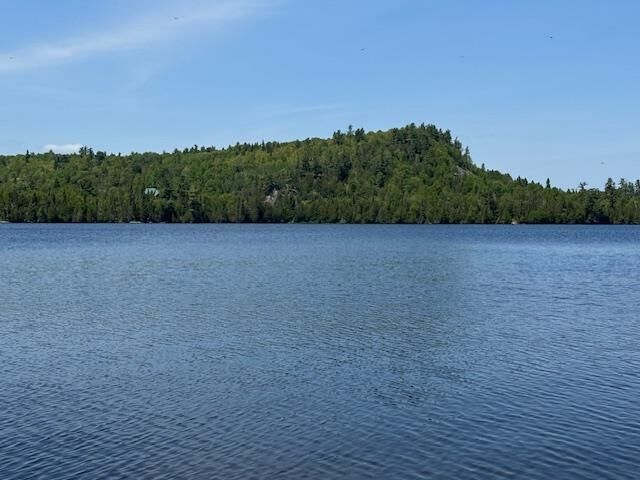 Property Photo:  14xx Tom Lake Rd  MN 55606 