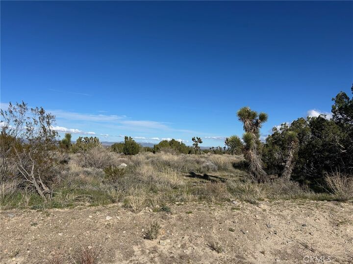 Property Photo:  0 Fort Tejon-Puzzle Canyon  CA 93544 