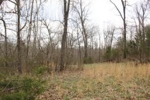 Property Photo:  Lot 24 Dogwood Drive  AR 72662 