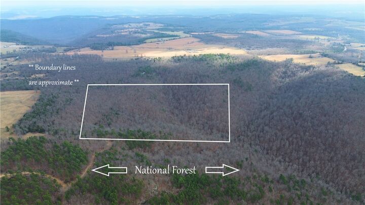 Property Photo:  40.12 Acres Landlock Road  AR 72650 