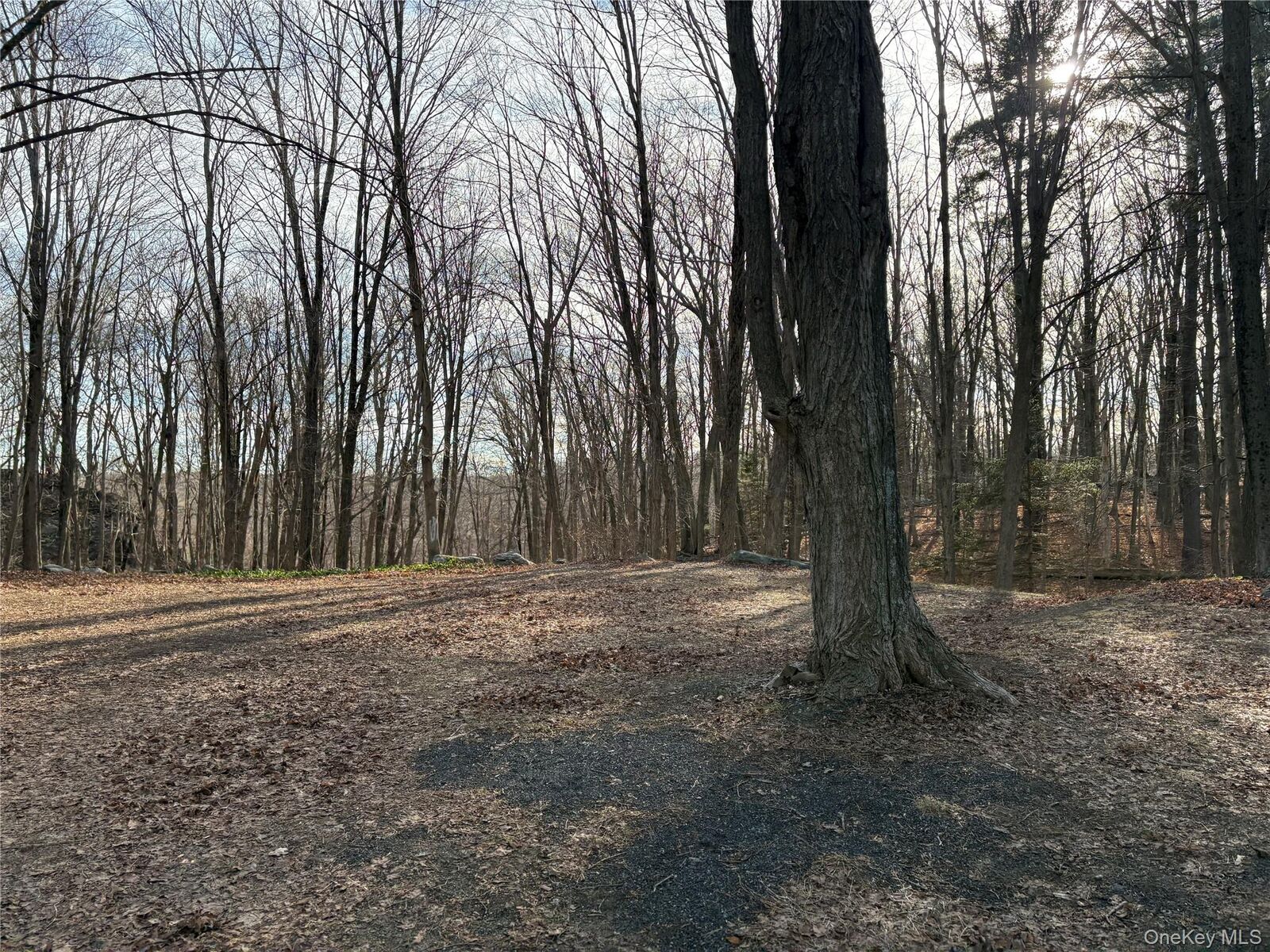Property Photo:  Salem Road  NY 10576 