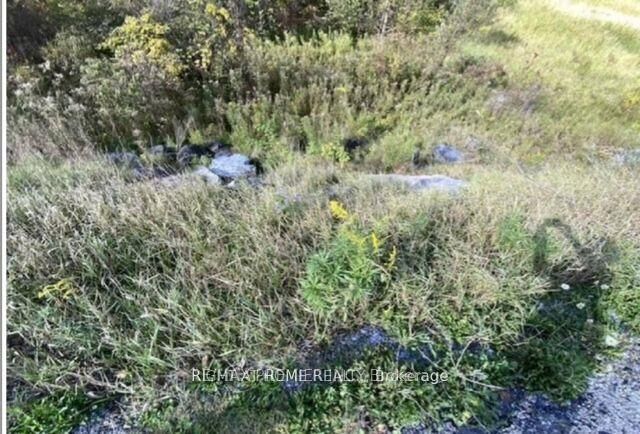 Property Photo:  Pt Con 5 Pt Lot 5 Road  ON K0K 2K0 