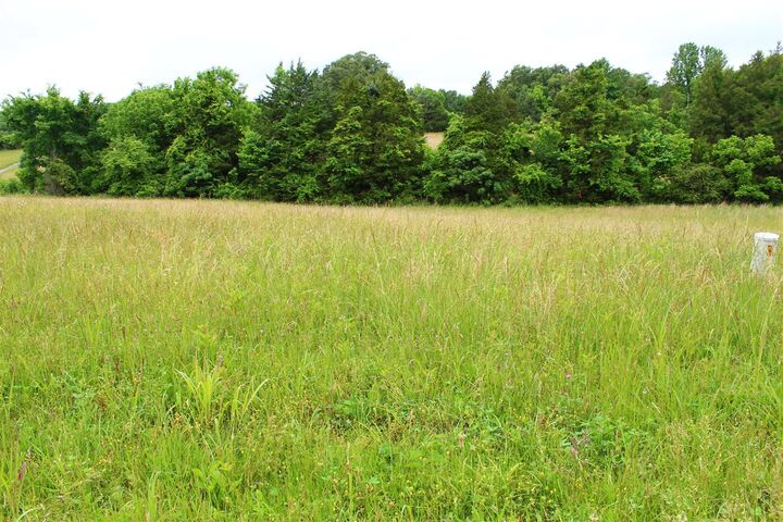 Property Photo:  667 Calvert Road  KY 42120 