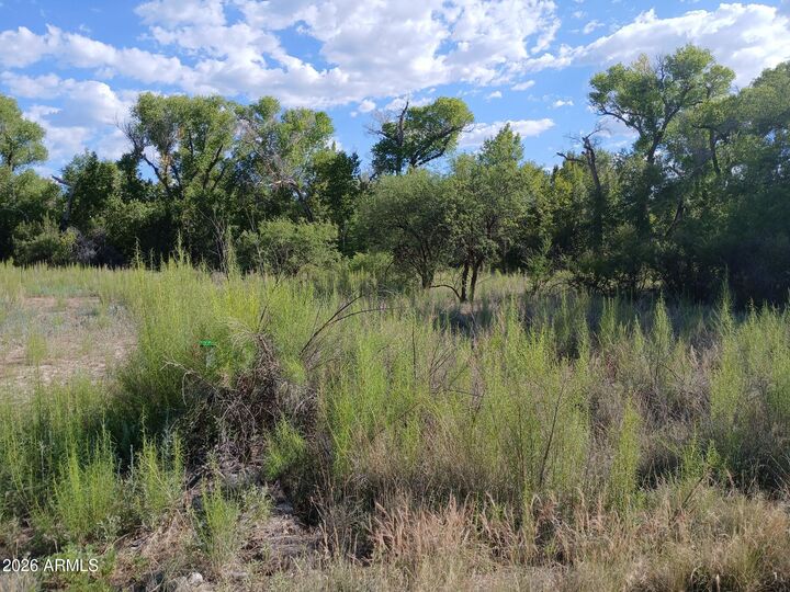 Property Photo:  4021 E Sparkling Lane 58  AZ 86322 