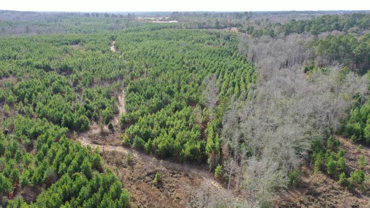 Property Photo:  Tbd Shady Grove Road  TX 75657 