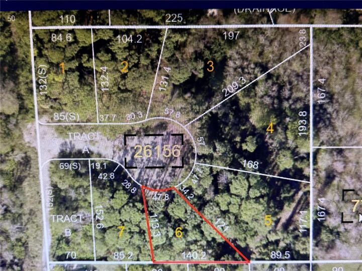 Property Photo:  1298 Almaria Court  FL 34683 