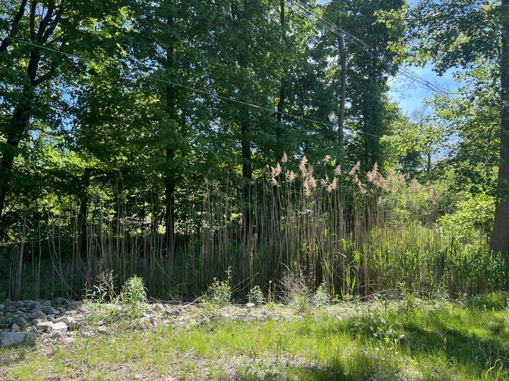 Property Photo:  19499 Kluver Road  MI 49117 