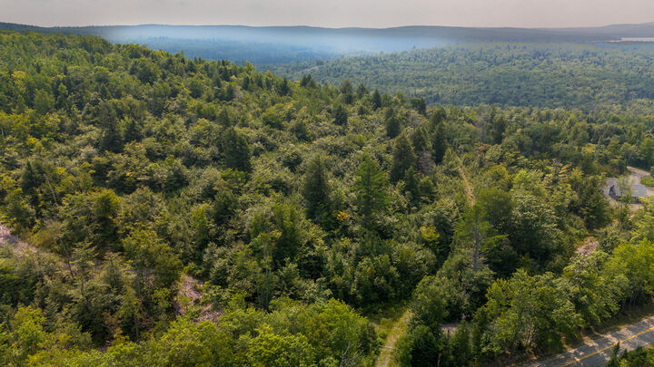 Property Photo: Lot9 Bear Brook Subdivision ME 04481