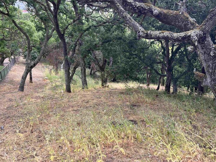 Property Photo: Turquoise Dr CA 94547