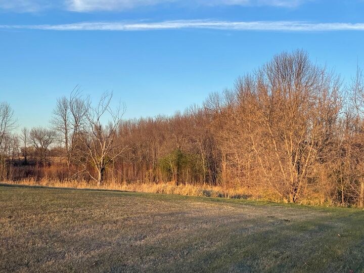 Property Photo:  Lot 6 Block 1 Donway Drive NE  MN 56308 