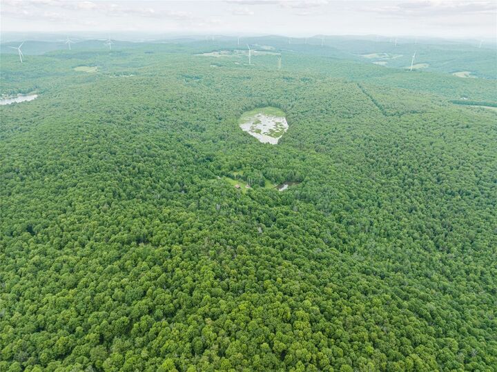 Property Photo:  308 Tennent Road 3  NY 13865 