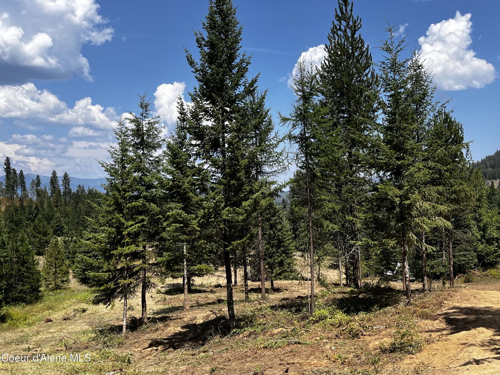 Property Photo: Nna Lot 1 Schneiders Rd ID 83860