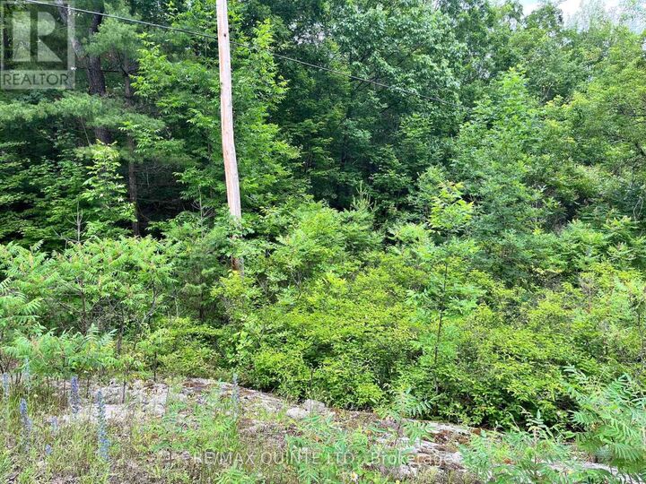 Property Photo:  Potter Settlement Road  ON K0K 3J0 