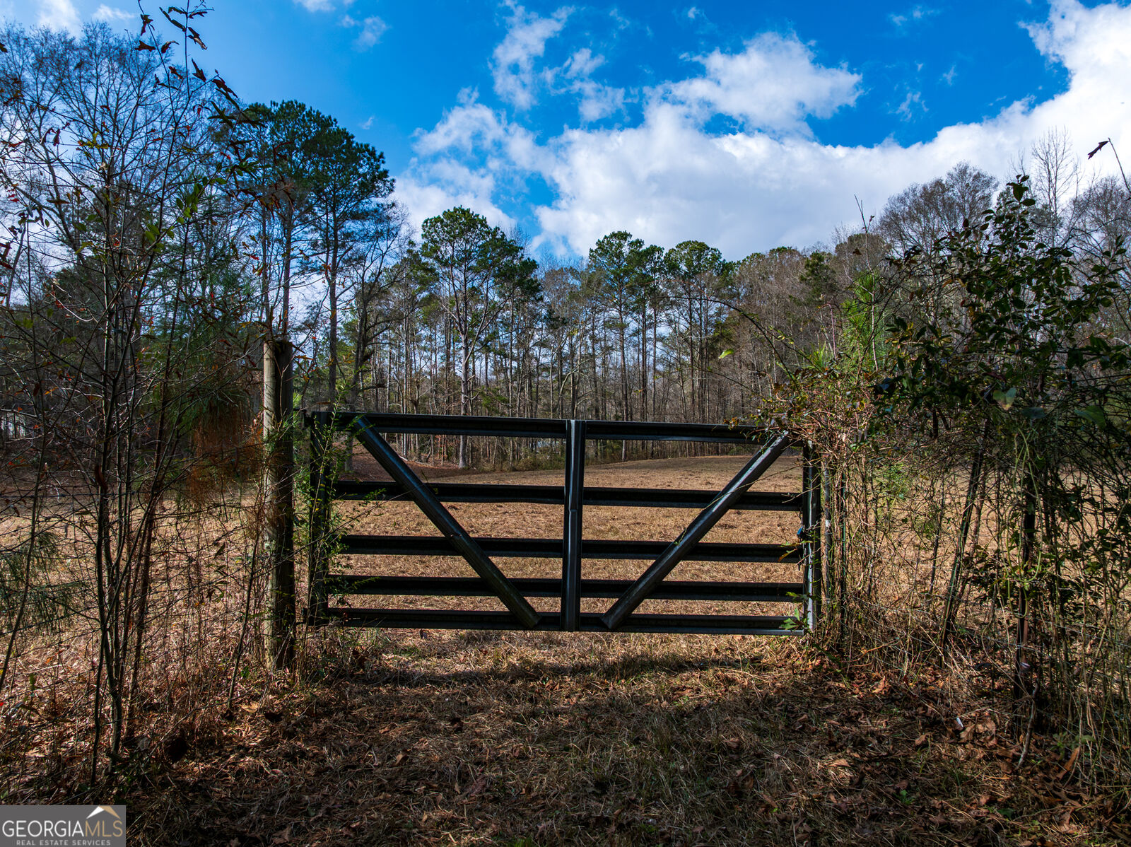 Property Photo: 2.83 Acres Williams Road GA 31826