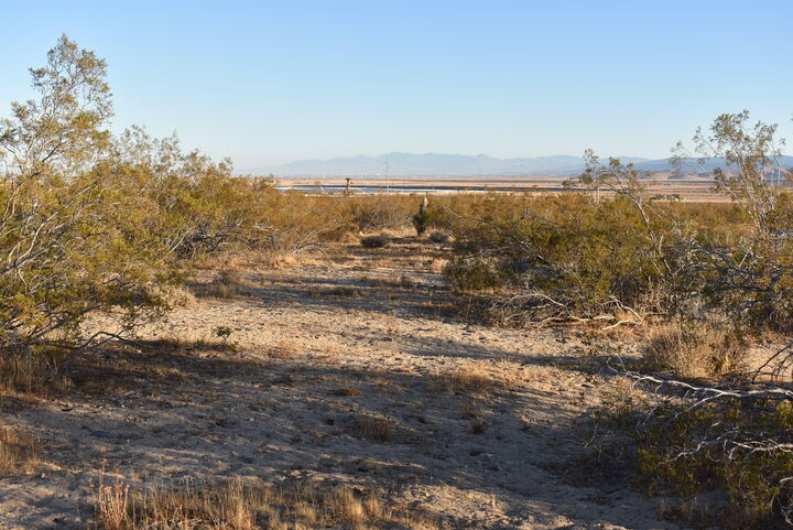 Property Photo: 19300 W Astoria Ave CA 93560