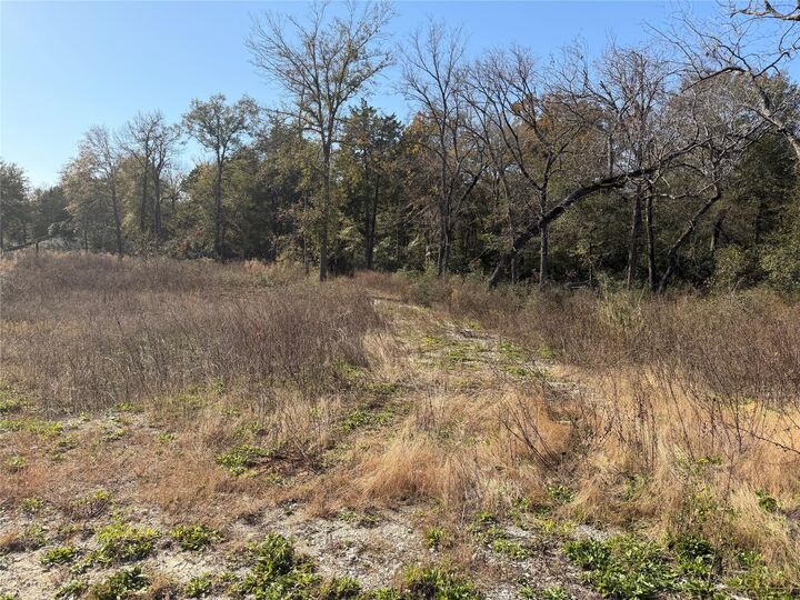 Property Photo:  Lot 34 Cr 389  TX 75846 