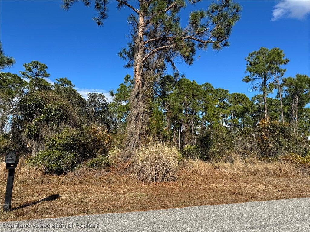 Property Photo:  3013 Brooklands Avenue  FL 33852 