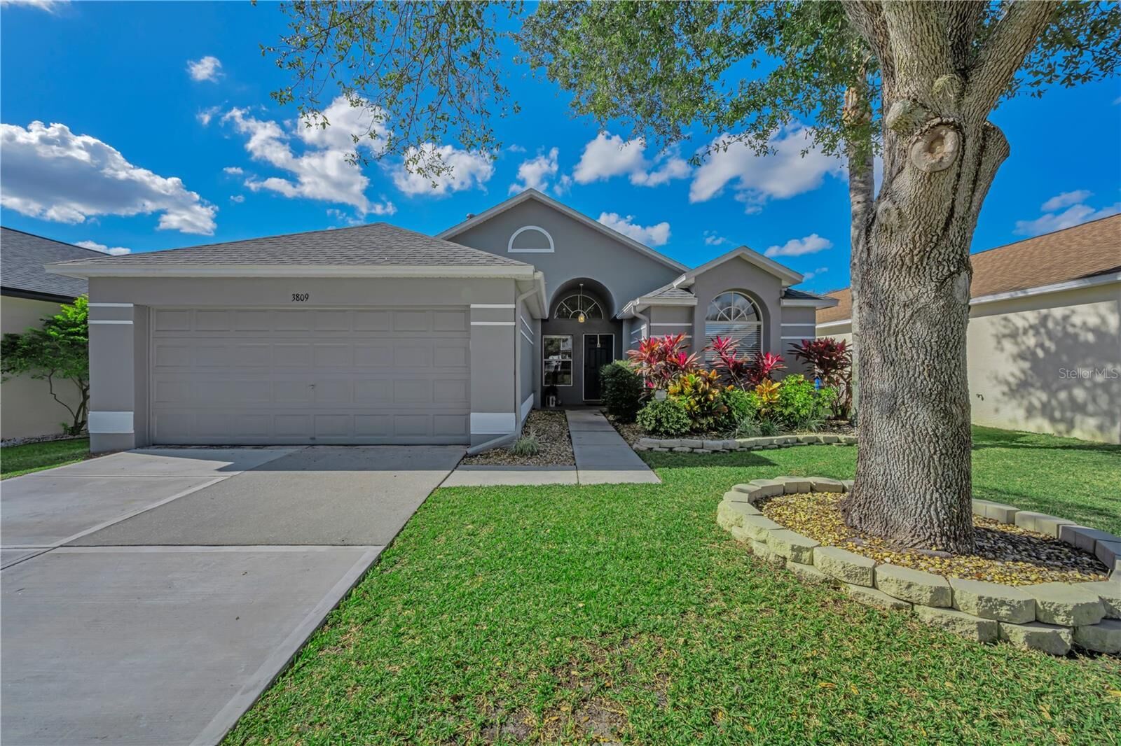 Property Photo:  3809 Judson Drive  FL 34638 